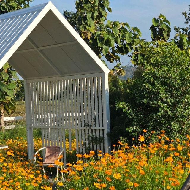 Flower House Cafe'