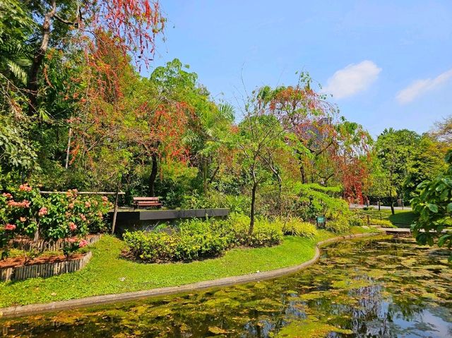 ฤดูใบไม้ผลิ สวนสมเด็จพระนางเจ้าสิริกิติ์