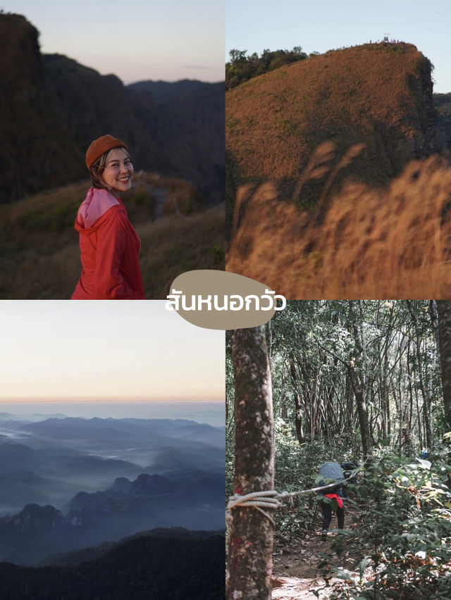 🌿 9 พิกัดเที่ยวกาญจนบุรีฉบับดื่มด่ำธรรมชาติ