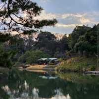 Rikugien Garden (六義園)