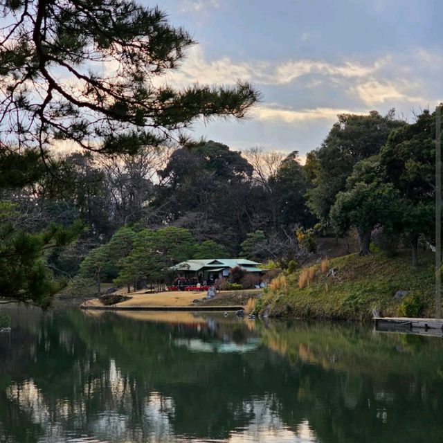 Rikugien Garden (六義園)
