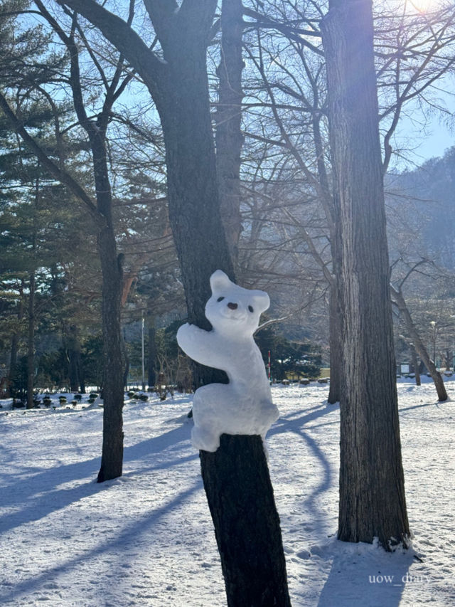 겨울 홋카이도 여행에서 꼭 찍어야하는 사진 2편(삿포로)