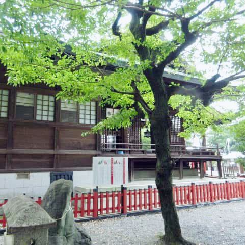 Echoes of Samurai: Exploring Shiroyama Hachimangu Shrine 🇯🇵