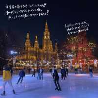 🇦🇹オーストリア・ウィーンのクリスマス🎅