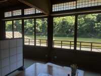 Tranquility in Nature: Exploring Arashiyama Park