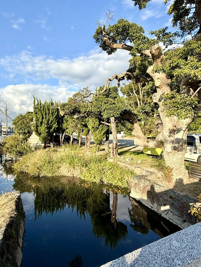 【和歌山県】並列して祀られている2社の神宮