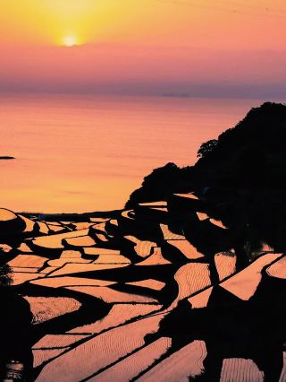 A spectacular view dyed in the sunset! A moving scene of Hamanoura rice terraces🌾🌅