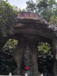 斗門金臺寺~值得一去的地方又可以居高臨下看湖景