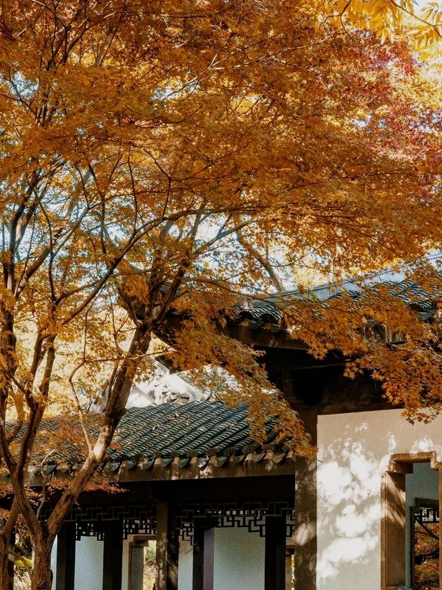 Quyuan Fenghe