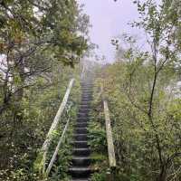 De Biesbosch National Park