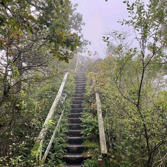 De Biesbosch National Park