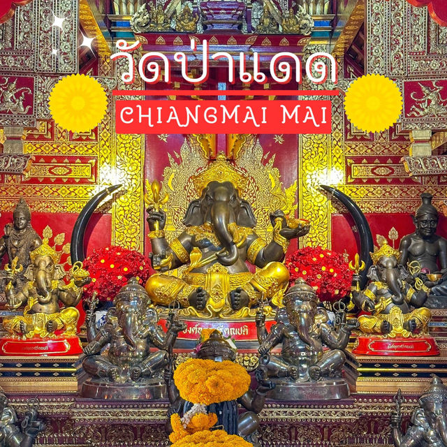 มูเตรู 🙏ขอพร พระพิฆเนศ วัดป่าแดด เชียงใหม่