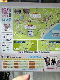 【神奈川の穴場】電車で行ける桜と菜の花の可愛いスポット