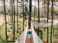 Delightful Destination in Bandung