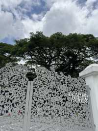 Lush Tropical Paradise - Singapore Botanic Gardens
