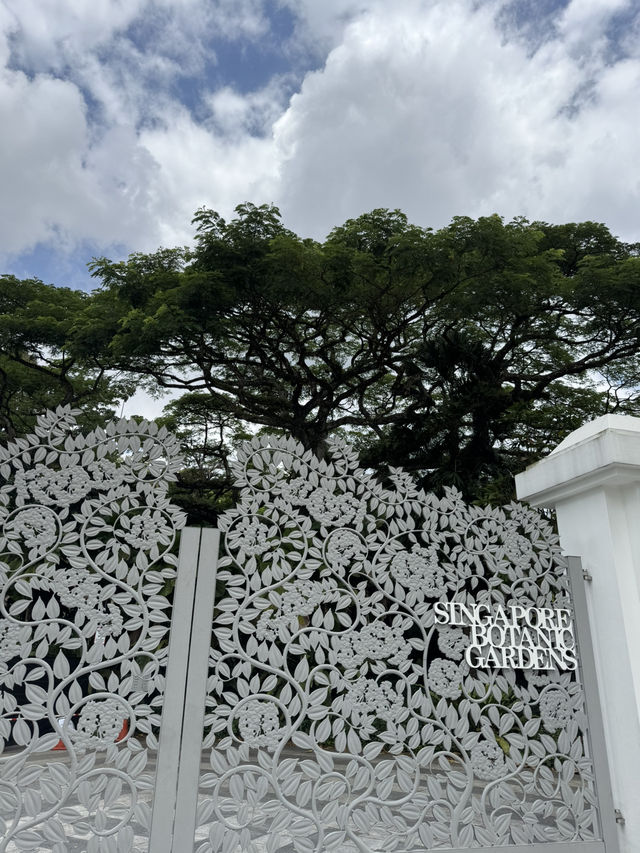 Lush Tropical Paradise - Singapore Botanic Gardens