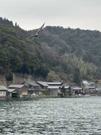 🌊 🎣 Amanohashidate & Ine: Japan’s Hidden Coastal Gems