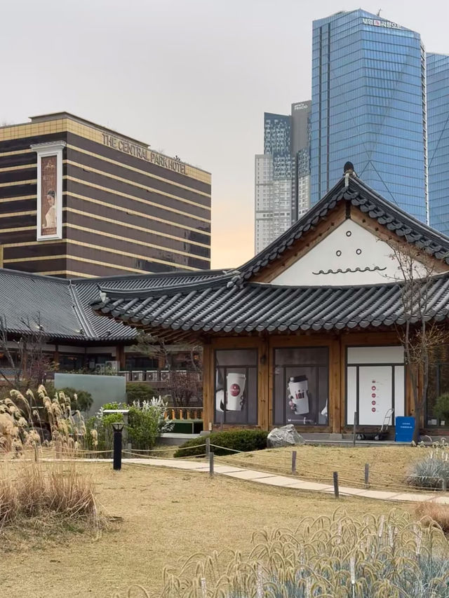 🌉 Songdo Sky Park – A Scenic Escape Above Busan 🌊
