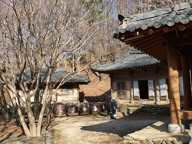 신비로운 기운 가득! 하동 삼성궁 🌿⛩