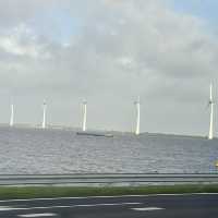 Eye opening sights at Amsterdam