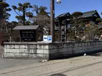富士山 山中湖伊豆自駕遊之旅