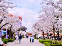 Seoulland Flower Festival Review