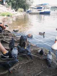 Spring Serenity at Park Cihelna: A Riverside Retreat