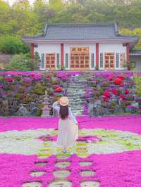 봄이 되면 가기 좋은 산청 1박 2일 여행코스💖🌸