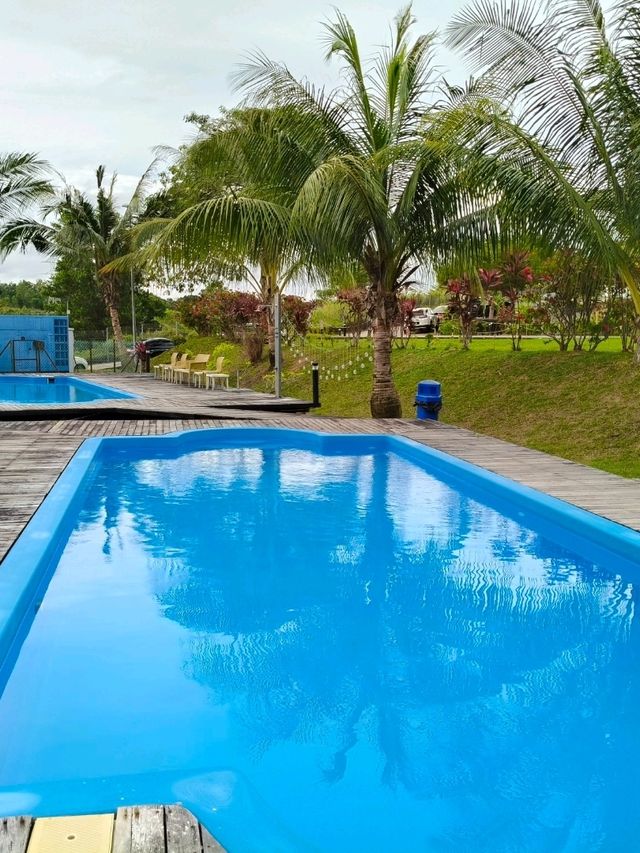 Explore The Nature Stay At Lakeview Terrace Resort
