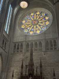 【入場無料💰👀】知る人ぞ知る名建築⛪️オルレアン・サントクロワ大聖堂✨