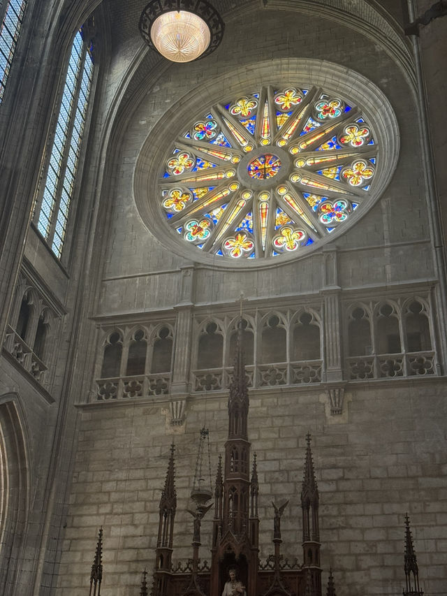 【入場無料💰👀】知る人ぞ知る名建築⛪️オルレアン・サントクロワ大聖堂✨