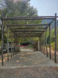 ธรรมชาติ คาเฟ่ | สวนผึ้ง ราชบุรี