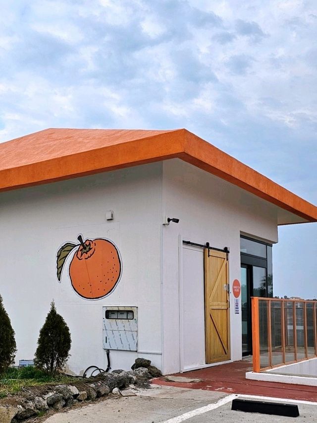 감귤향 한가득 느껴지는 주황색 감성카페