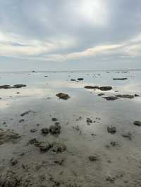 Villea Port Dickson Recommendation