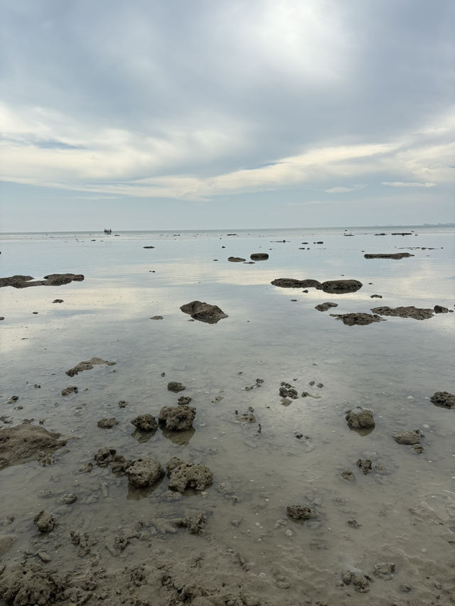 Villea Port Dickson Recommendation