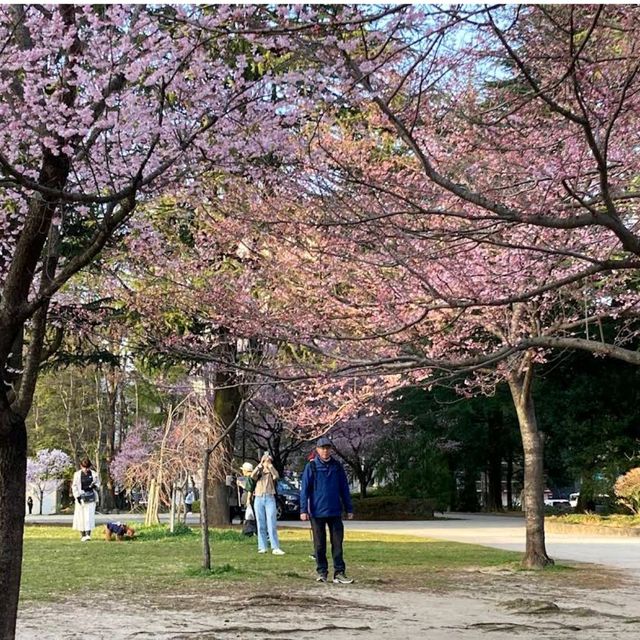錦町公園