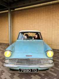 An Amazing Experience for Harry Potter Fans!