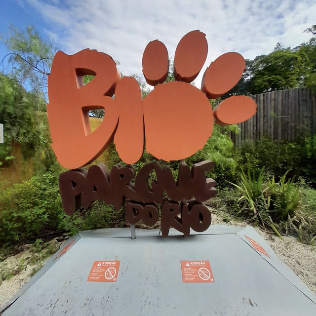 ボア・ジ・フリオ公園（ブラジル・リオデジャネイロ） – 静寂の中に広がる熱帯植物の楽園 