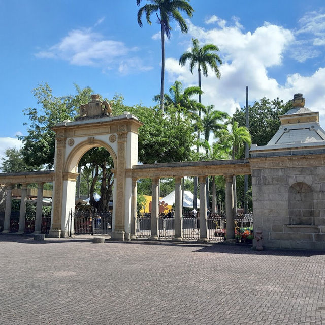 ボア・ジ・フリオ公園（ブラジル・リオデジャネイロ） – 静寂の中に広がる熱帯植物の楽園 