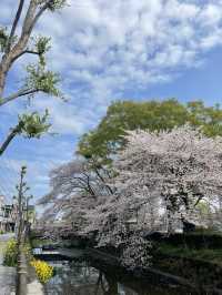 【栃木】蔵の並ぶ街並み・栃木市