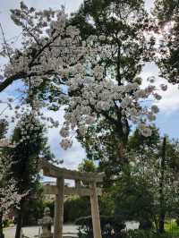 【山口グルメ】和カフェ大貫・山口の桜
