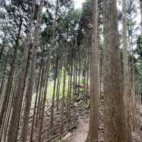 まつさかイレブン【三峰山】⛰️ 