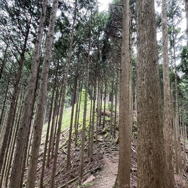まつさかイレブン【三峰山】⛰️ 