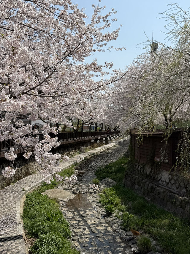 여좌천 다리를 잘 볼 수 잇는 방법