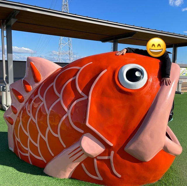 🇯🇵【徳島】道の駅　くるくるなると(^^)