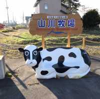 【大沼公園】函館から30分の大自然🍃
