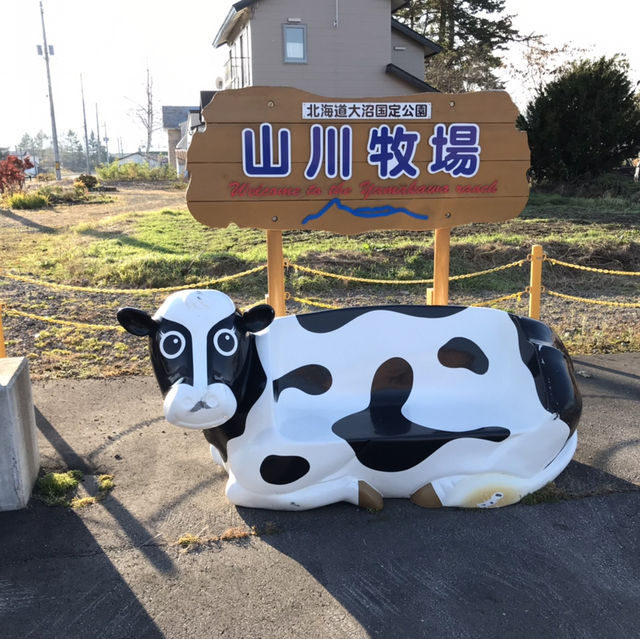 【大沼公園】函館から30分の大自然🍃