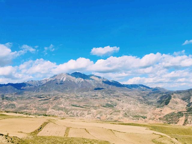 中國青海著名旅遊城市海東市旅行攻略，適合打卡拍照📸