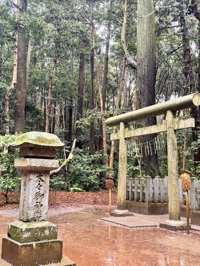 春天時節的鹿島神宮