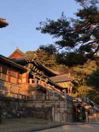 ⛩️고요함부터 힙함까지, 경주 하루 코스 추천